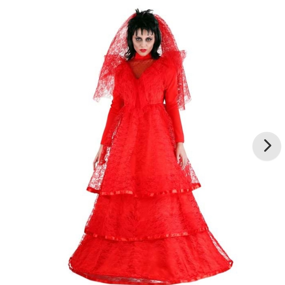“Lydia Deetz” Costume from Beetlejuice